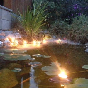 Water Feature and Lighting