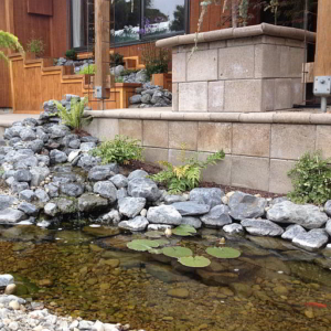 Water Feature and Planting