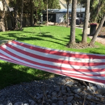 2019-01-24 15.52.17